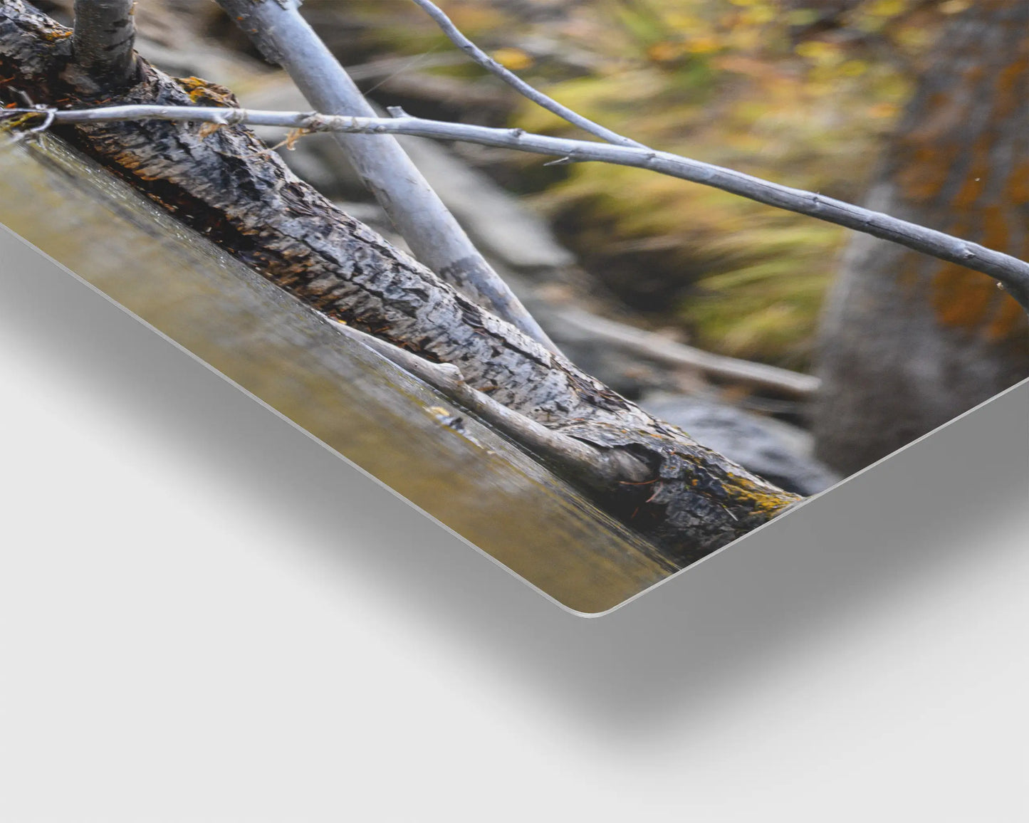 Tree Stand Hunter