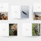 LIMITED EDITION Summer 2023 Greeting Card Set - 5 pcs