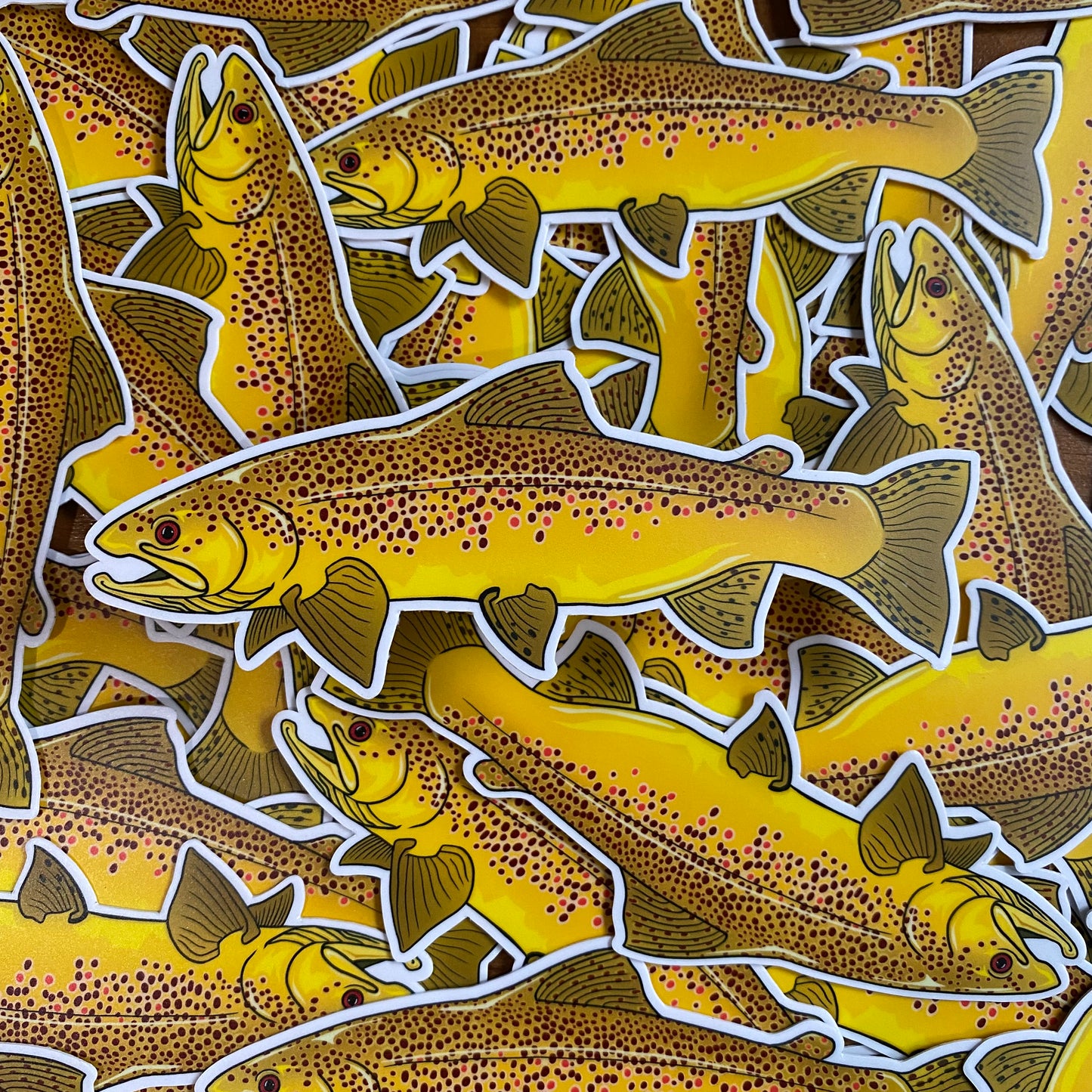 Brown Trout - Vinyl Sticker