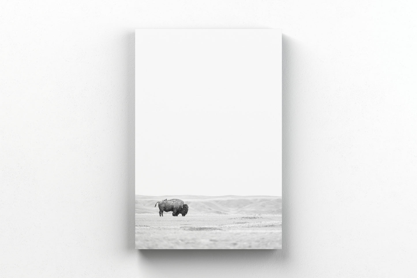 Bison & Bird