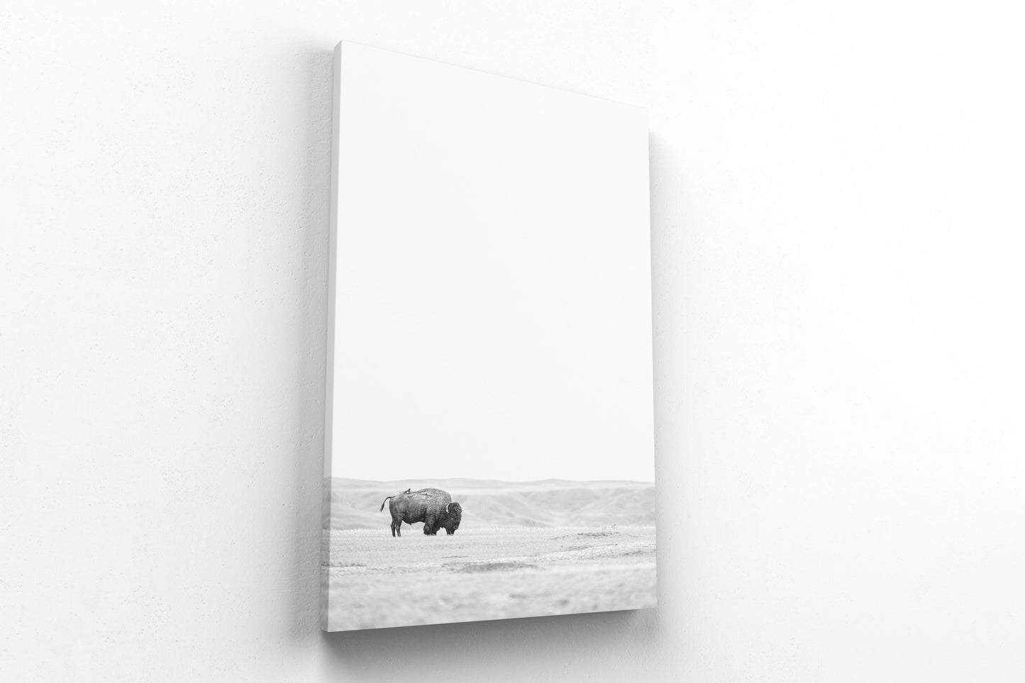 Bison & Bird