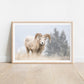 Blizzard Bighorn