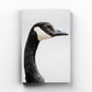 Canada Goose Portrait