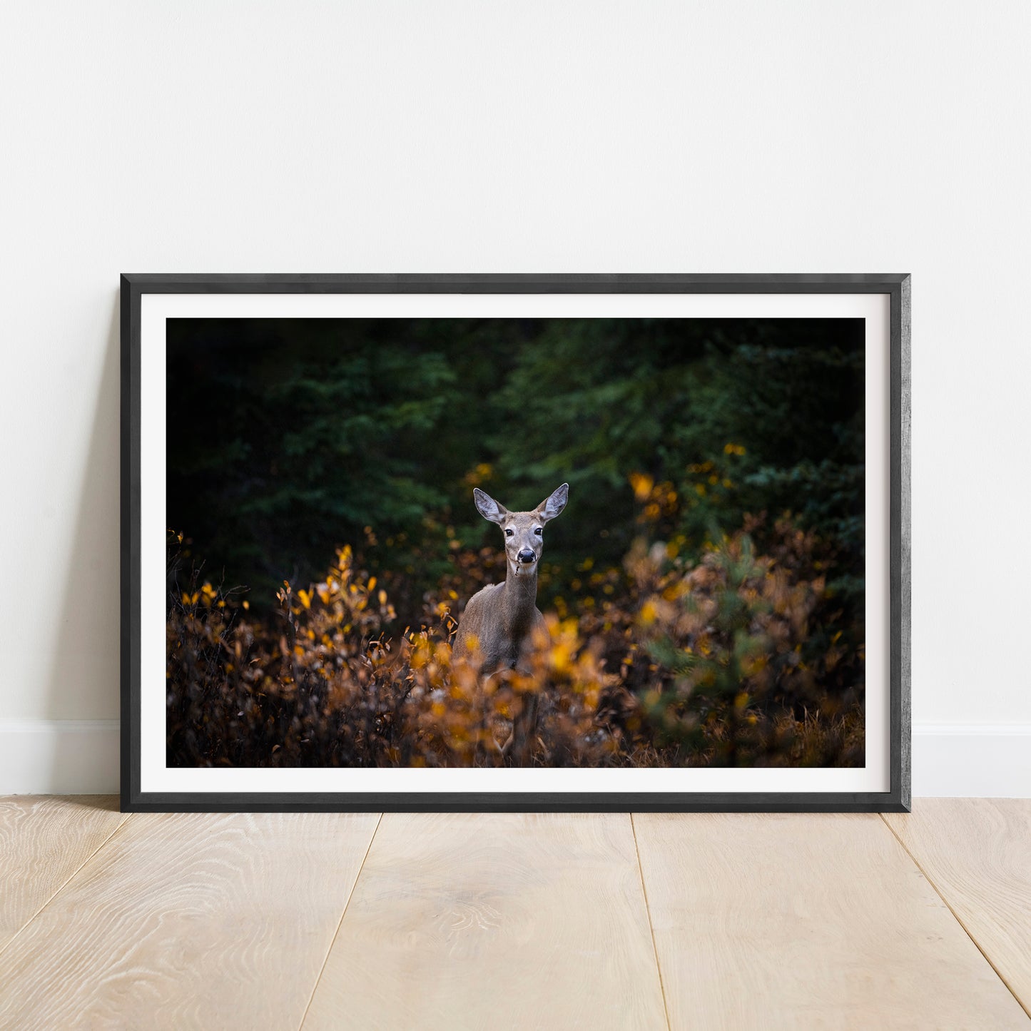 Deer in Fall Leaves