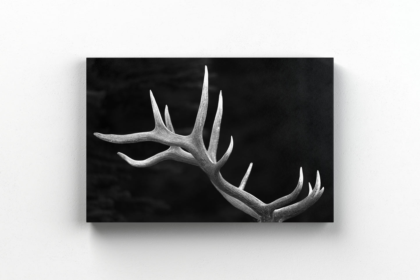 Kings Crown