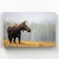 Fall Moose