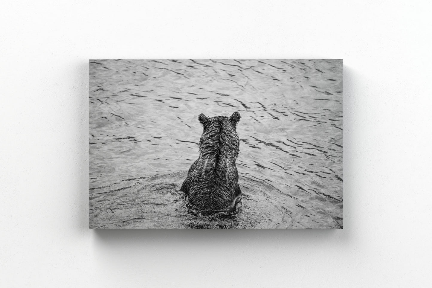 Fishing Bear