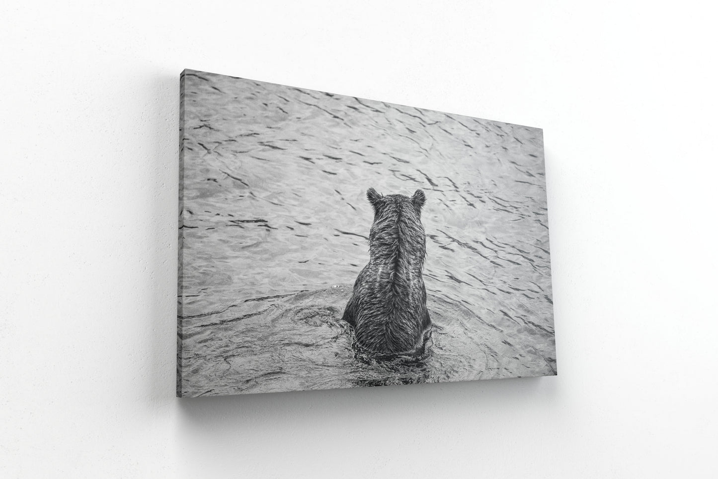 Fishing Bear