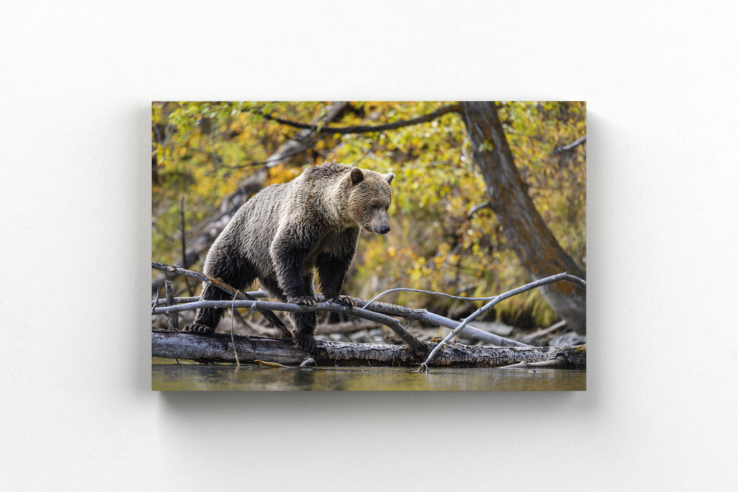 Tree Stand Hunter