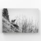 Horse on the Cliff