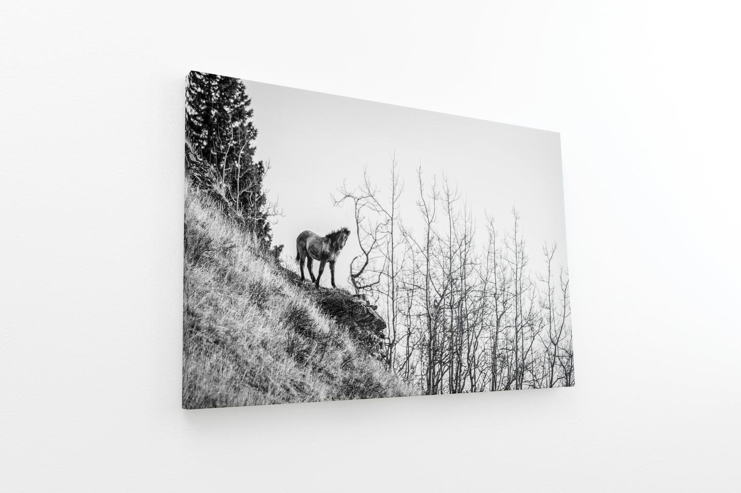 Horse on the Cliff
