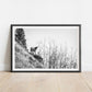 Horse on the Cliff